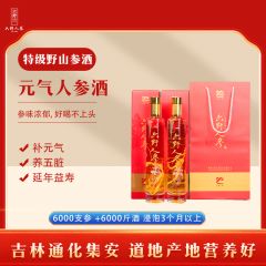 六野人参元气人参酒 500ml/瓶 2瓶